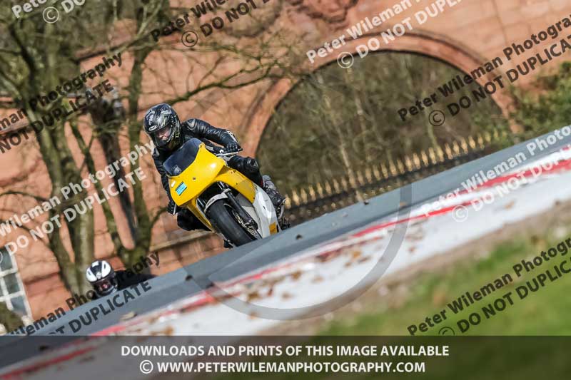 Oulton Park 21st March 2020;PJ Motorsport Photography 2020;anglesey;brands hatch;cadwell park;croft;donington park;enduro digital images;event digital images;eventdigitalimages;mallory;no limits;oulton park;peter wileman photography;racing digital images;silverstone;snetterton;trackday digital images;trackday photos;vmcc banbury run;welsh 2 day enduro